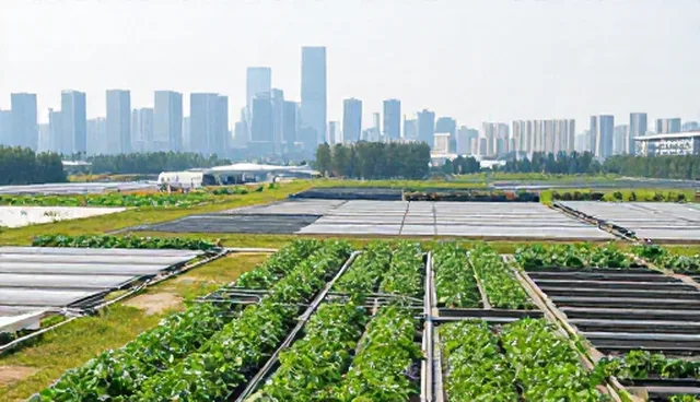 维护建议中的实际取舍：澄清常见误区